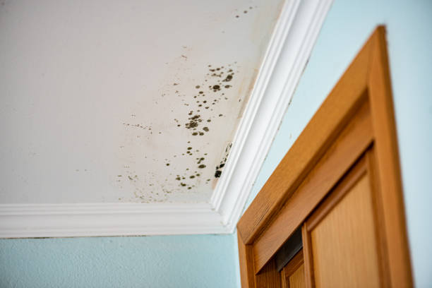 Water Damage Restoration in Okanogan, WA