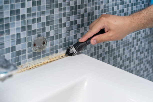 Best Certified Mold Removal  in Okanogan, WA